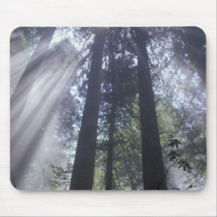 NA, USA, California. Del Norte Coast State Mouse Pad