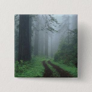 NA, USA, California. Del Norte Coast State Park. 15 Cm Square Badge