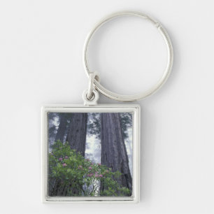 NA, USA, California. Del Norte Coast State Park. 2 Key Ring