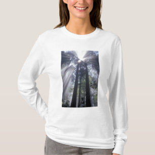 NA, USA, California. Del Norte Coast State T-Shirt