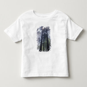 NA, USA, California. Del Norte Coast State Toddler T-Shirt