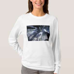 NA, USA, California, Del Norte Redwoods State T-Shirt