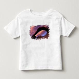 NA, USA, California, Eastern Sierra, Alabama Toddler T-Shirt