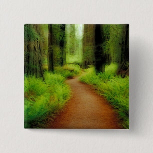 NA, USA, California, Jedediah Smith Redwoods 15 Cm Square Badge