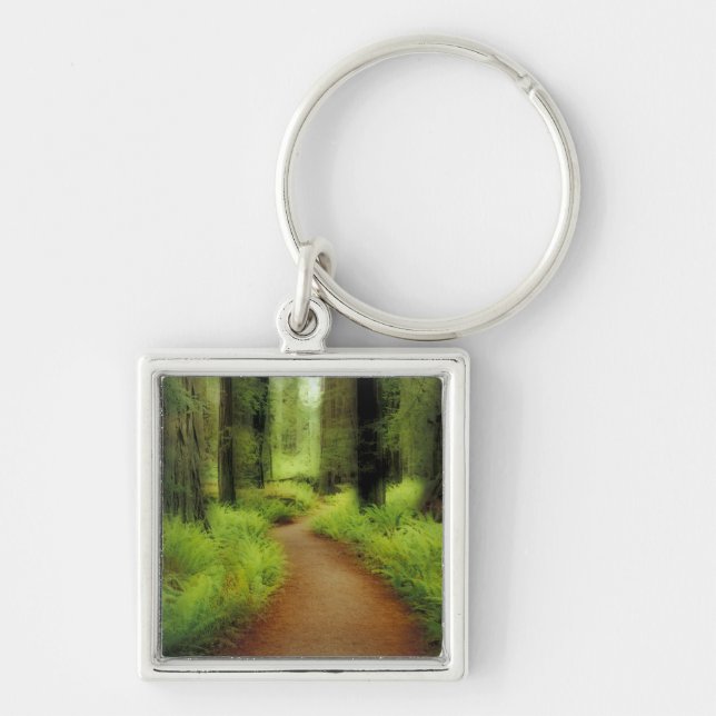 NA, USA, California, Jedediah Smith Redwoods Key Ring (Front)