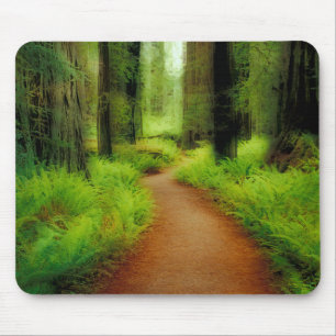 NA, USA, California, Jedediah Smith Redwoods Mouse Pad