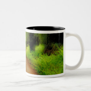 NA, USA, California, Jedediah Smith Redwoods Two-Tone Coffee Mug