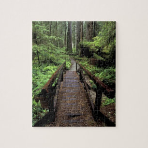 NA, USA, California, Jedidiah Smith Redwoods Jigsaw Puzzle