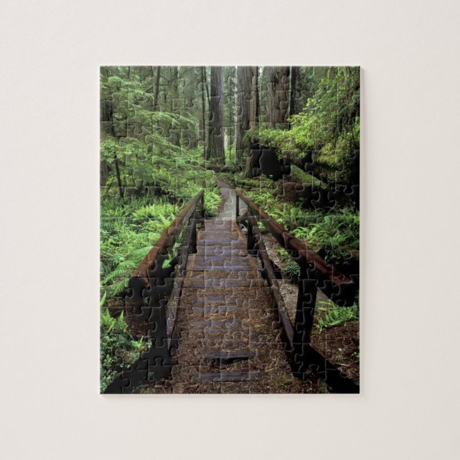 NA, USA, California, Jedidiah Smith Redwoods Jigsaw Puzzle (Vertical)