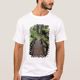 NA, USA, California, Jedidiah Smith Redwoods T-Shirt