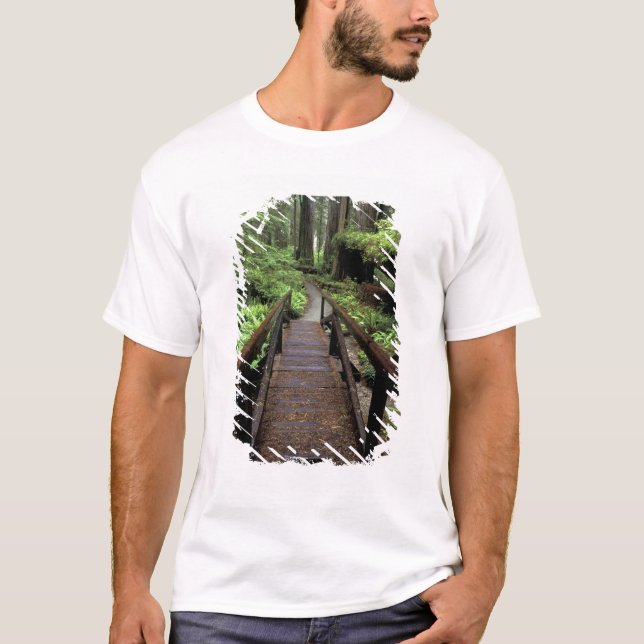 NA, USA, California, Jedidiah Smith Redwoods T-Shirt (Front)