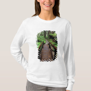 NA, USA, California, Jedidiah Smith Redwoods T-Shirt