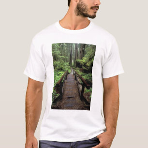 NA, USA, California, Jedidiah Smith Redwoods T-Shirt
