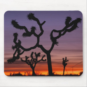 NA, USA, California. Joshua Tree National Mouse Pad