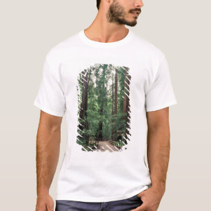 NA, USA, California, Marin County, Muir Woods T-Shirt
