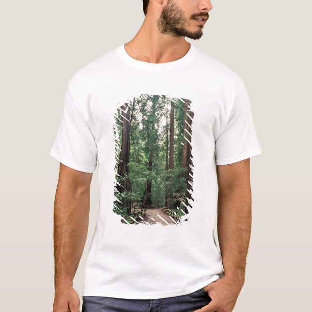 NA, USA, California, Marin County, Muir Woods T-Shirt (Front)