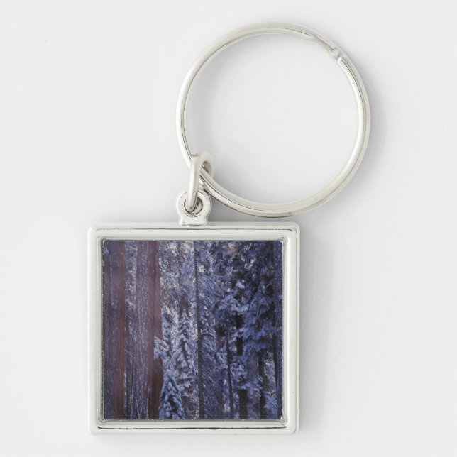 NA, USA, California. Sequoia National Park. 2 Key Ring (Front)