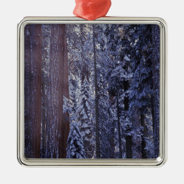 NA, USA, California. Sequoia National Park. 2 Metal Ornament (Front)