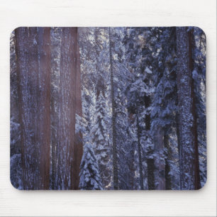 NA, USA, California. Sequoia National Park. 2 Mouse Pad