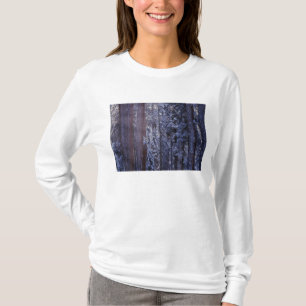 NA, USA, California. Sequoia National Park. 2 T-Shirt