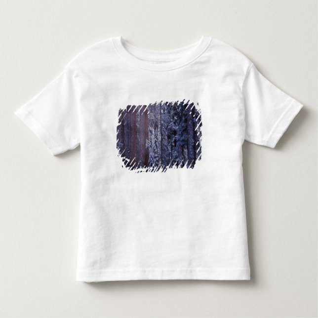 NA, USA, California. Sequoia National Park. 2 Toddler T-Shirt (Front)