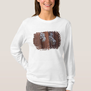 NA, USA, California. Sequoia National Park. T-Shirt