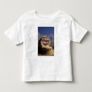 NA, USA, Colorado, Gunnison. Patriotic hay roll Toddler T-Shirt