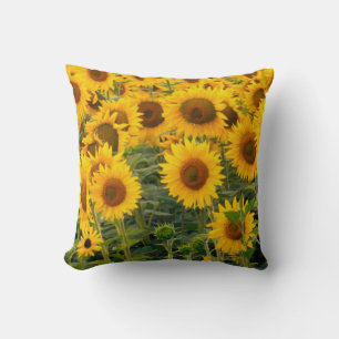 Na, USA, Colorado, Sunflowers Cushion