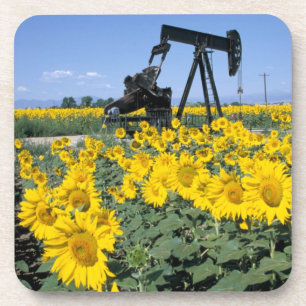 Na, USA, Colorado, Sunflowers, Oil Derrick Coaster