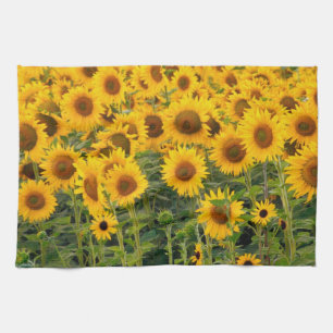 Na, USA, Colorado, Sunflowers Tea Towel