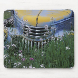 NA, USA, eastern Washington, Old truck with Mouse Pad