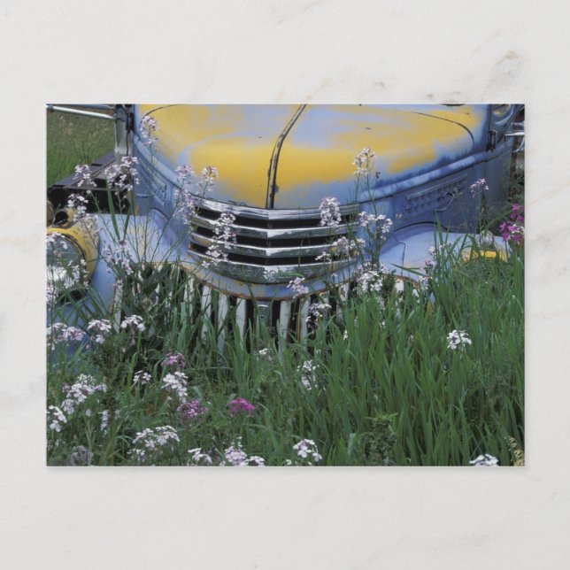 NA, USA, eastern Washington, Old truck with Postcard (Front)