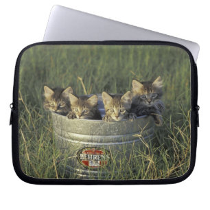NA, USA, Florida, rural Florida. Eight-week-old Laptop Sleeve