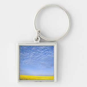 Na, USA, ID, Grangeville, Field of Canola Crop Key Ring