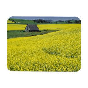 NA, USA, Idaho, near Potlatch, Wooden barn and Magnet