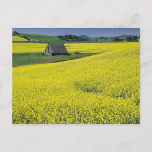 NA, USA, Idaho, near Potlatch, Wooden barn and Postcard