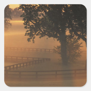 NA, USA, Kentucky. Foggy sunrise on Kentucky Square Sticker