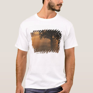 NA, USA, Kentucky. Foggy sunrise on Kentucky T-Shirt