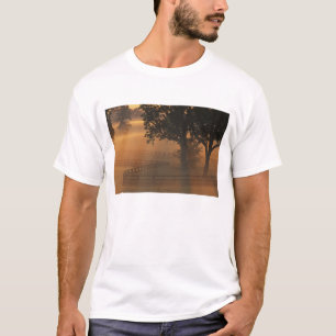 NA, USA, Kentucky. Foggy sunrise on Kentucky T-Shirt