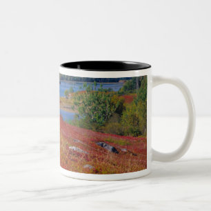 NA, USA, Maine. Blueberry Barrens. Two-Tone Coffee Mug
