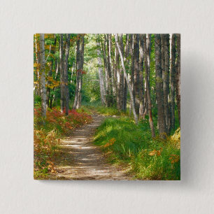 NA, USA, Maine. Jessup trail in Acadia National 15 Cm Square Badge