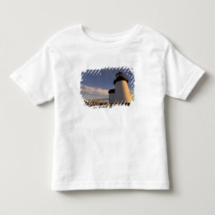 NA, USA, Massachusetts, Nantucket Island, 3 Toddler T-Shirt