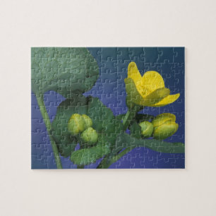 NA, USA, Michigan, Rochester Hills. Marsh Jigsaw Puzzle