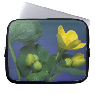 NA, USA, Michigan, Rochester Hills. Marsh Laptop Sleeve