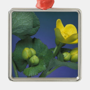 NA, USA, Michigan, Rochester Hills. Marsh Metal Ornament