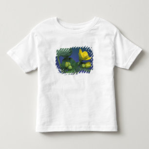 NA, USA, Michigan, Rochester Hills. Marsh Toddler T-Shirt