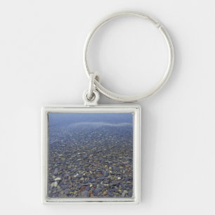 NA, USA, Montana, Glacier NP Rocks in Lake Key Ring