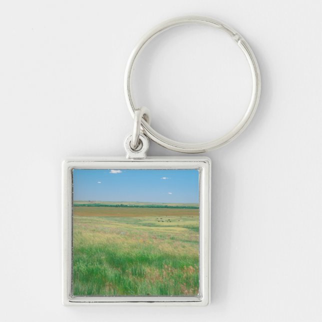 NA, USA, NE. Grasslands near Ogallala with Key Ring (Front)
