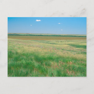 NA, USA, NE. Grasslands near Ogallala with Postcard