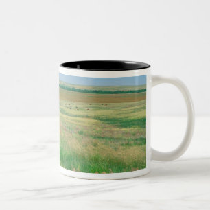 NA, USA, NE. Grasslands near Ogallala with Two-Tone Coffee Mug